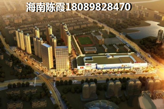定安2025的发展将会是怎样？