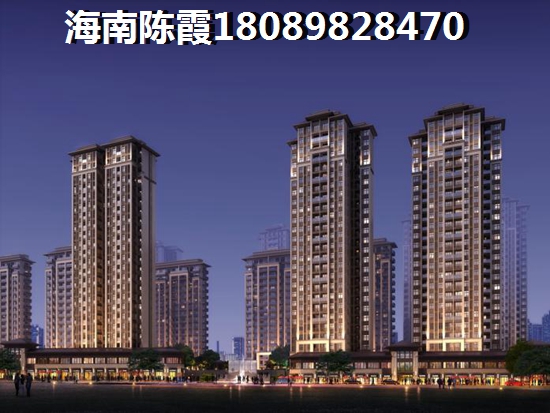 定安见龙苑新房价纸深度解析